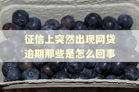 征信上突然出现网贷逾期那些是怎么回事 征信上突然出现网贷逾期那些是怎么回事