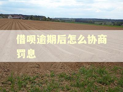 借呗逾期后怎么协商罚息