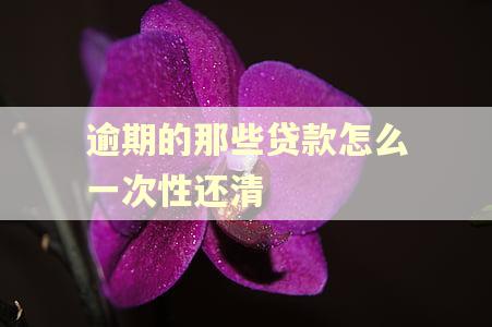 逾期的那些贷款怎么一次性还清