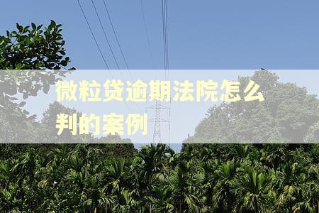 微粒贷逾期法院怎么判的案例