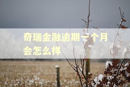 奇瑞金融逾期一个月会怎么样