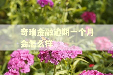 奇瑞金融逾期一个月会怎么样