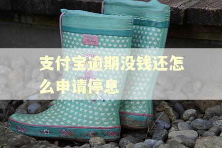 支付宝逾期没钱还怎么申请停息