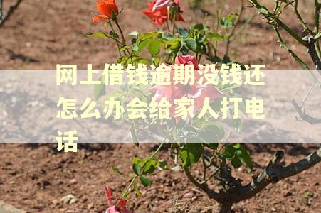网上借钱逾期没钱还怎么办会给家人打电话