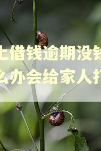 网上借钱逾期没钱还怎么办会给家人打电话