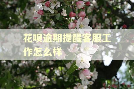 花呗逾期提醒客服工作怎么样 花呗逾期提醒客服工作怎么样