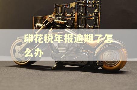 印花税年报逾期了怎么办
