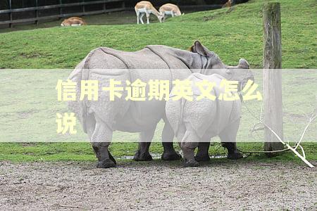 信用卡逾期英文怎么说