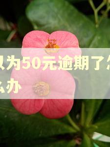 以为50元逾期了怎么办
