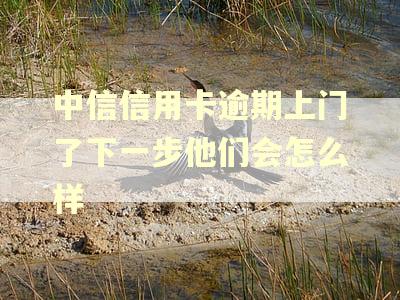 中信信用卡逾期上门了下一步他们会怎么样