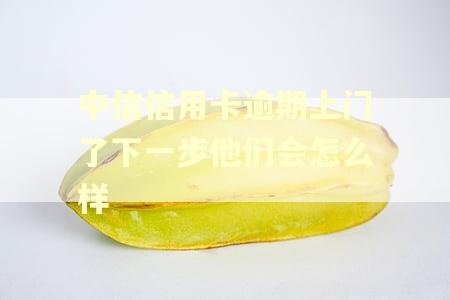 中信信用卡逾期上门了下一步他们会怎么样