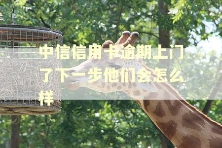 中信信用卡逾期上门了下一步他们会怎么样