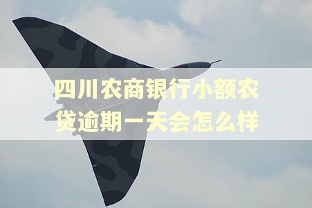 四川农商银行小额农贷逾期一天会怎么样