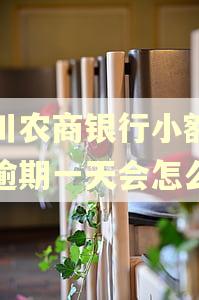 四川农商银行小额农贷逾期一天会怎么样