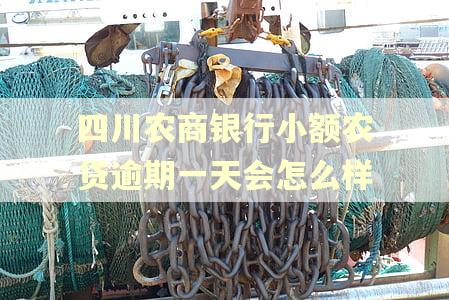 四川农商银行小额农贷逾期一天会怎么样