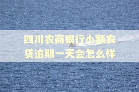 四川农商银行小额农贷逾期一天会怎么样 四川农商银行小额农贷逾期一天会怎么样