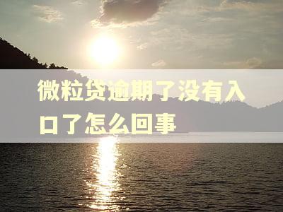 微粒贷逾期了没有入口了怎么回事