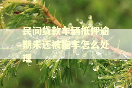 民间贷款车辆抵押逾期未还被拖车怎么处理 民间贷款车辆抵押逾期未还被拖车怎么处理