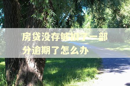 房贷没存够扣了一部分逾期了怎么办
