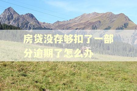 房贷没存够扣了一部分逾期了怎么办