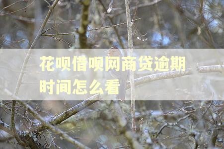 花呗借呗网商贷逾期时间怎么看