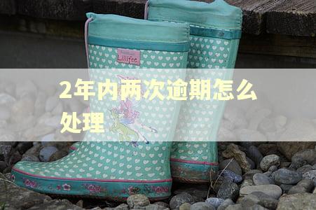 2年内两次逾期怎么处理