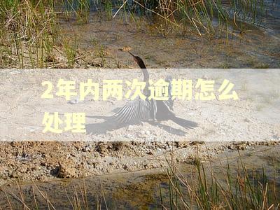 2年内两次逾期怎么处理 2年内两次逾期怎么处理