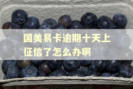 国美易卡逾期十天上征信了怎么办啊