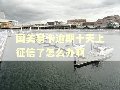国美易卡逾期十天上征信了怎么办啊 国美易卡逾期十天上征信了怎么办啊