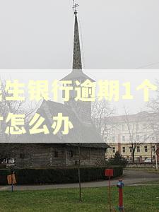 民生银行逾期1个小时怎么办