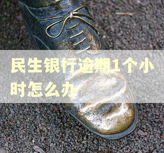 民生银行逾期1个小时怎么办 民生银行逾期1个小时怎么办