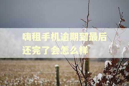 嗨租手机逾期到最后还完了会怎么样 嗨租手机逾期到最后还完了会怎么样