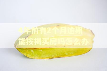 4年前有2个月逾期能按揭买房吗怎么办