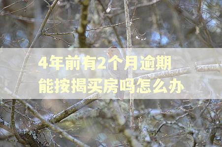 4年前有2个月逾期能按揭买房吗怎么办