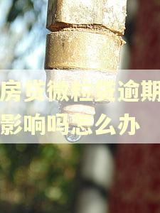 有房贷微粒贷逾期了有影响吗怎么办