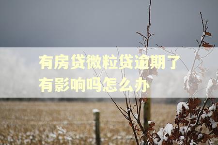有房贷微粒贷逾期了有影响吗怎么办