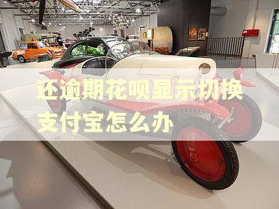 还逾期花呗显示切换支付宝怎么办