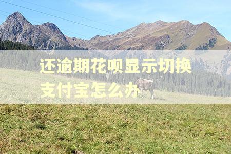 还逾期花呗显示切换支付宝怎么办