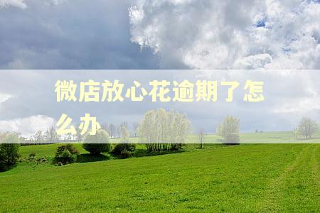 微店放心花逾期了怎么办 微店放心花逾期了怎么办
