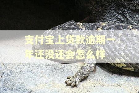 支付宝上贷款逾期一年还没还会怎么样