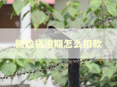 微粒贷逾期怎么扣款 微粒贷逾期怎么扣款