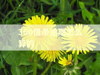 360借条逾期怎么算的