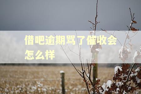 借吧逾期骂了催收会怎么样