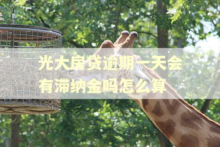 光大房贷逾期一天会有滞纳金吗怎么算