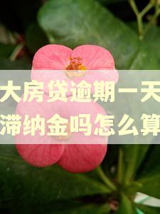 光大房贷逾期一天会有滞纳金吗怎么算