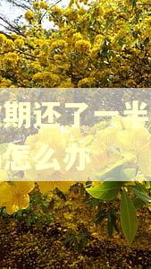 没逾期还了一半算逾期吗怎么办