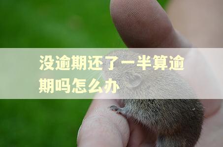没逾期还了一半算逾期吗怎么办 没逾期还了一半算逾期吗怎么办