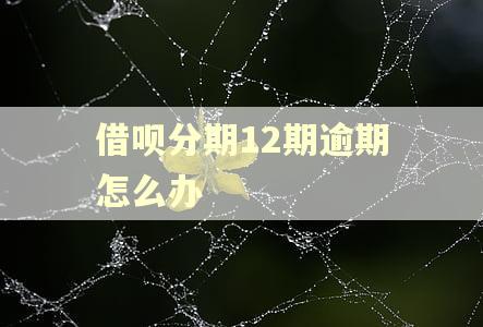 借呗分期12期逾期怎么办