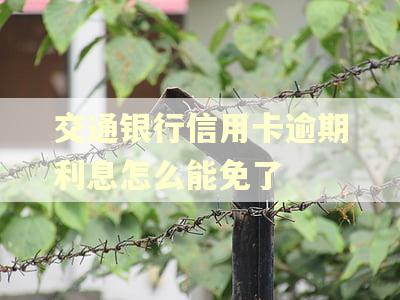 交通银行信用卡逾期利息怎么能免了
