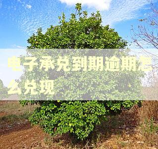 电子承兑到期逾期怎么兑现